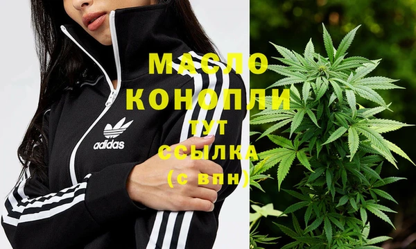 твердый Козельск