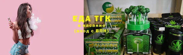 твердый Козельск