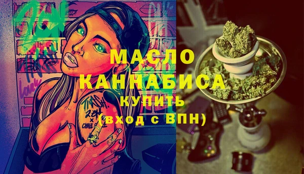 твердый Козельск