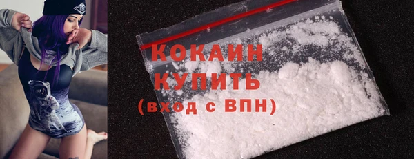 твердый Козельск