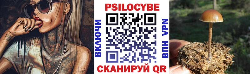 Псилоцибиновые грибы Psilocybe  Купить закладки  Козельск 
