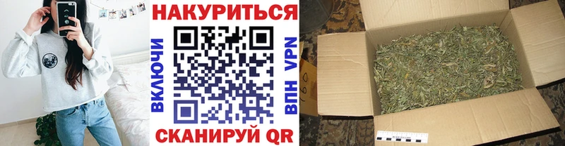 Купить где  Козельск  Каннабис индика 